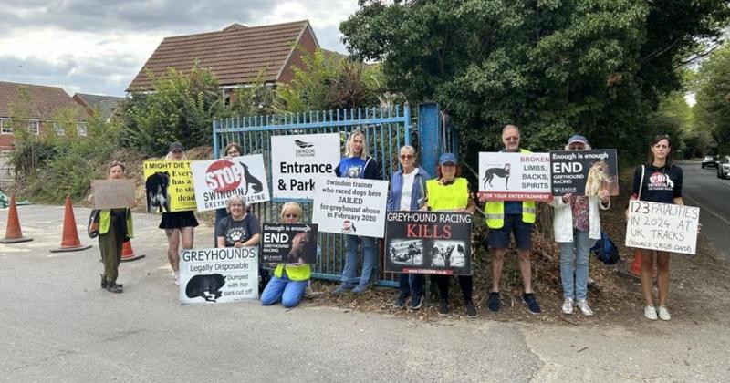 Greyhound racing protest in Swindon sparks banning debate