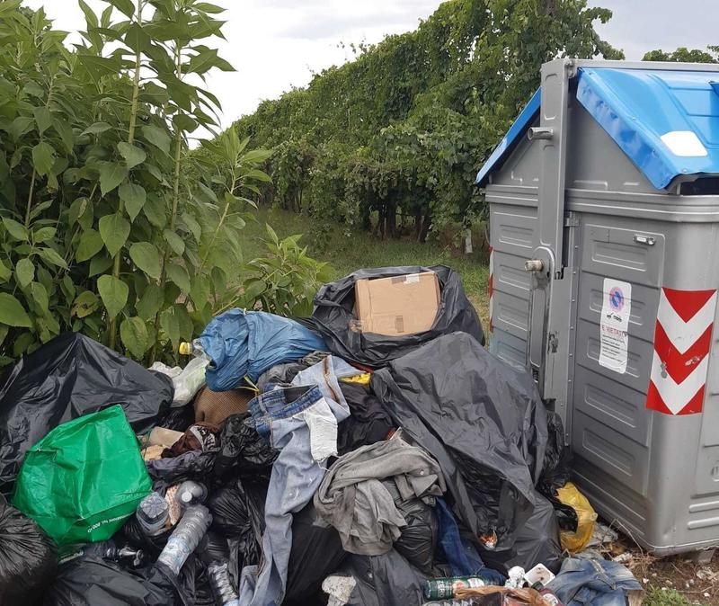 Area Liberale: 