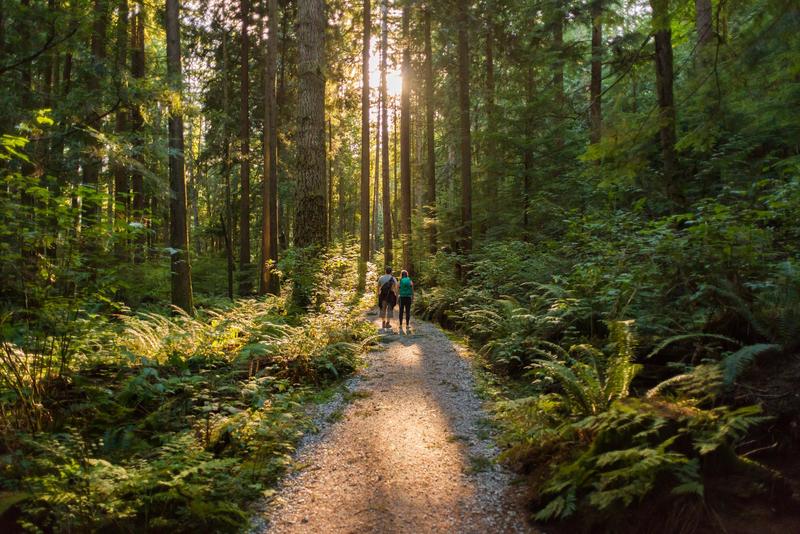 Percorsi trekking nelle Marche: dove andare per ammirare le meraviglie della natura