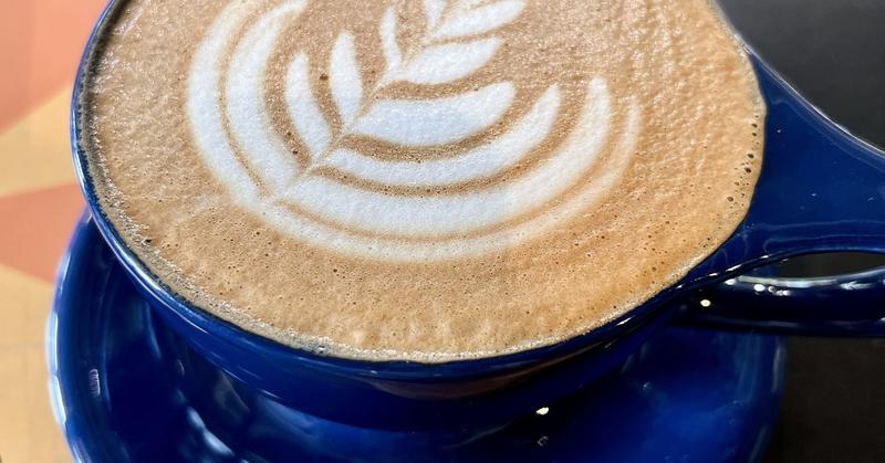 Hot Drinks, Cold Truths: Which Sips Actually Help Your Brain?