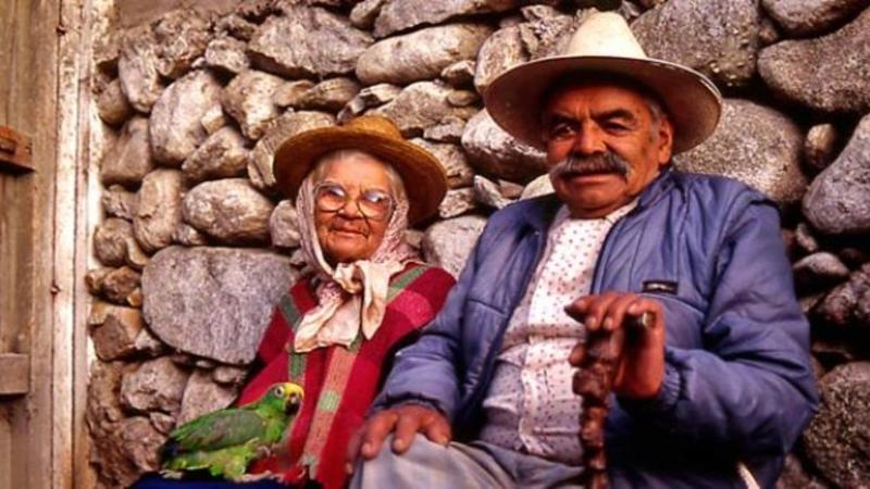 Soliloquios de café: ¿Ignorancia o desidia?