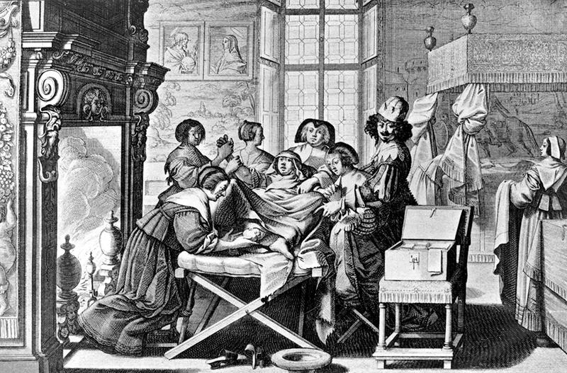Books /					 													 						The enduring miracle of human birth – a history