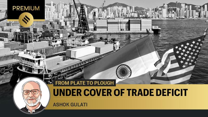 'Exports good, imports bad' is the flawed logic driving Trump's tariff politics