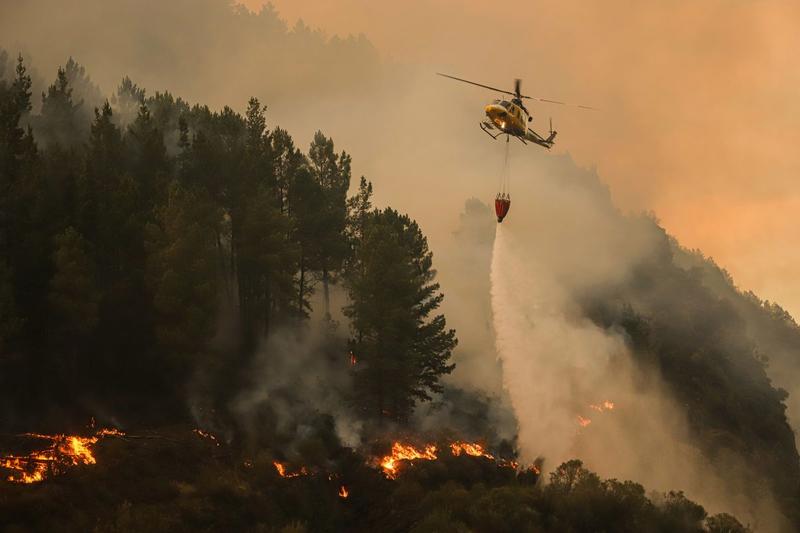 Se cumplen todos los pronósticos del cambio climático