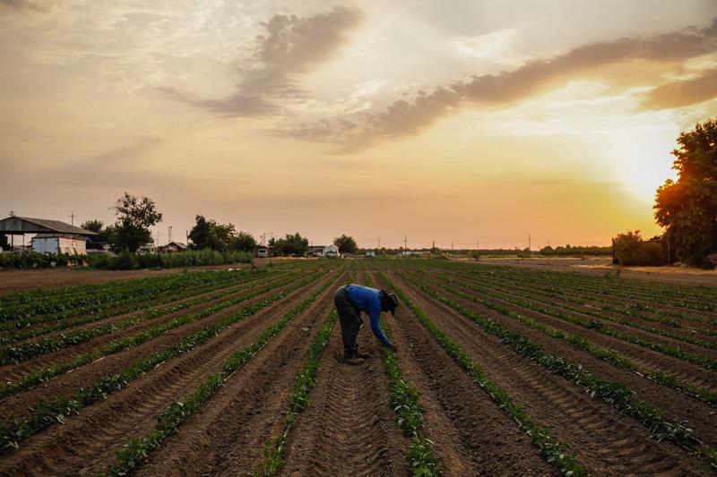 Who controls California farmland? The hard-to-find answer is disturbing