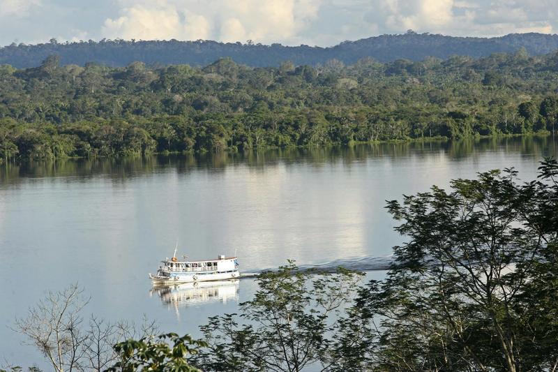 New study shows how Amazon trees use recent rainfall in the dry season and support the production of their own rain