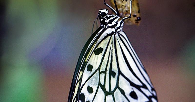 Recovery and the Process of Change