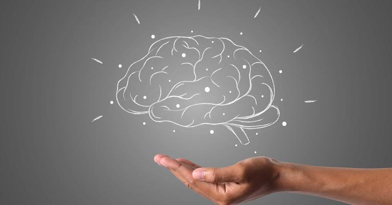 Getting to Know Your Brain