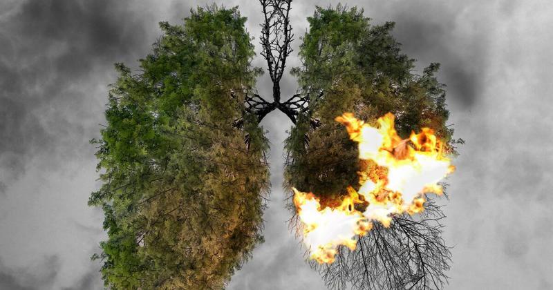 A suffocating health crisis: the gas industry permitted to pollute with impunity
