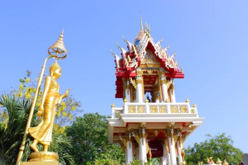 Scandal in the Sangha