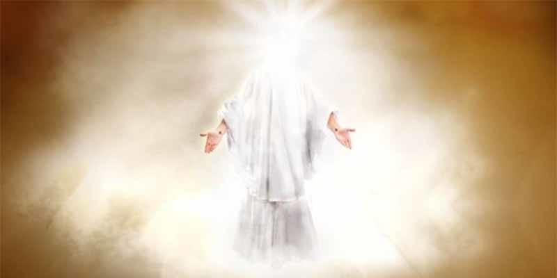 «Luz en la incubadora