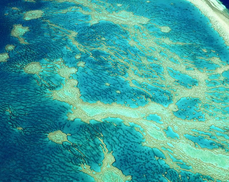 Half a century ago, the Great Barrier Reef was to be drilled for oil. It was saved – for a time