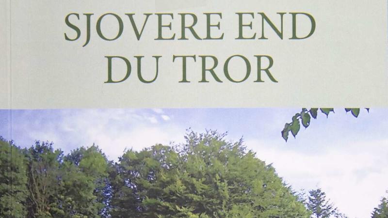 Kronik: Det er på tide at tale om at formulere fælles moralsæt