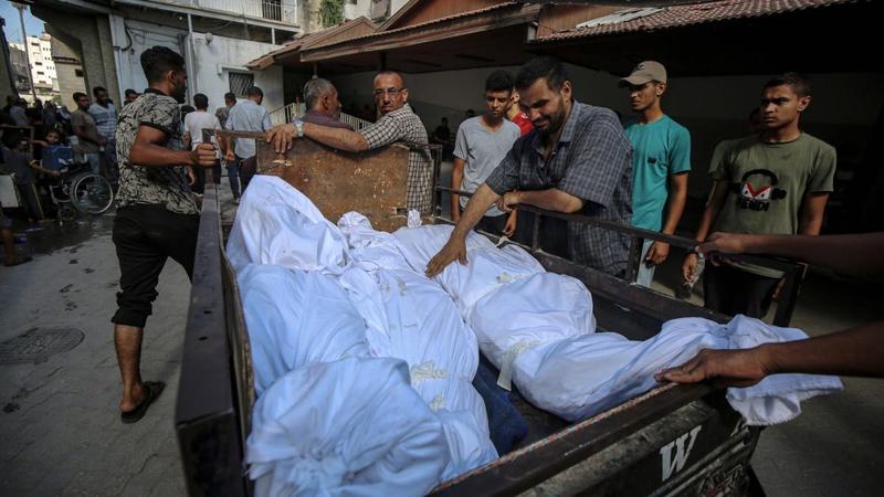 Leading Genocide Scholars Say Israel’s War in Gaza Fits the Definition