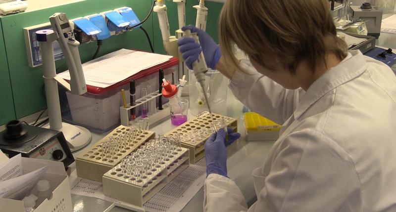 Chikungunya a Modena: i casi continuano a salire, dove sono le zone con positivi