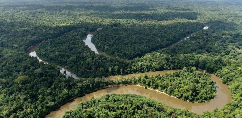 COP30 precisa transformar palavras em ação