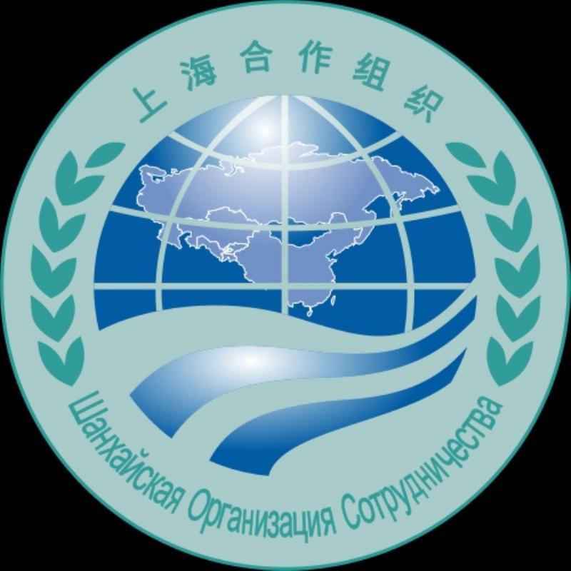 Tianjin Summit: The Authoritarians’ Answer to NATO