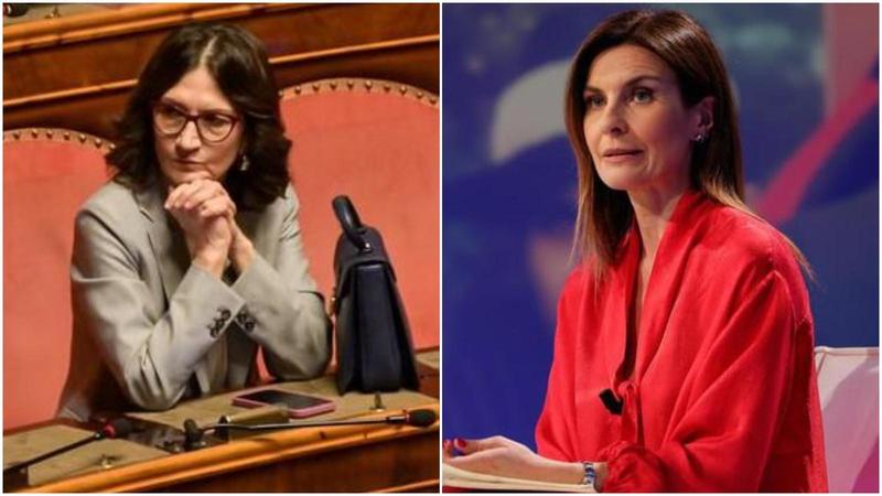 Boss Miao è sparito da casa (e da Telegram): il gestore di Phica.eu tradito dalla passione per i gatti /