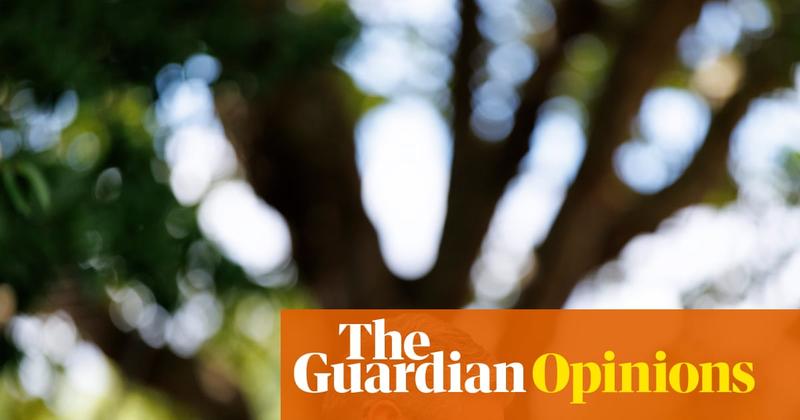 Don’t sugarcoat this: Starmer’s government is weak and may perish. Here are my five steps to recovery