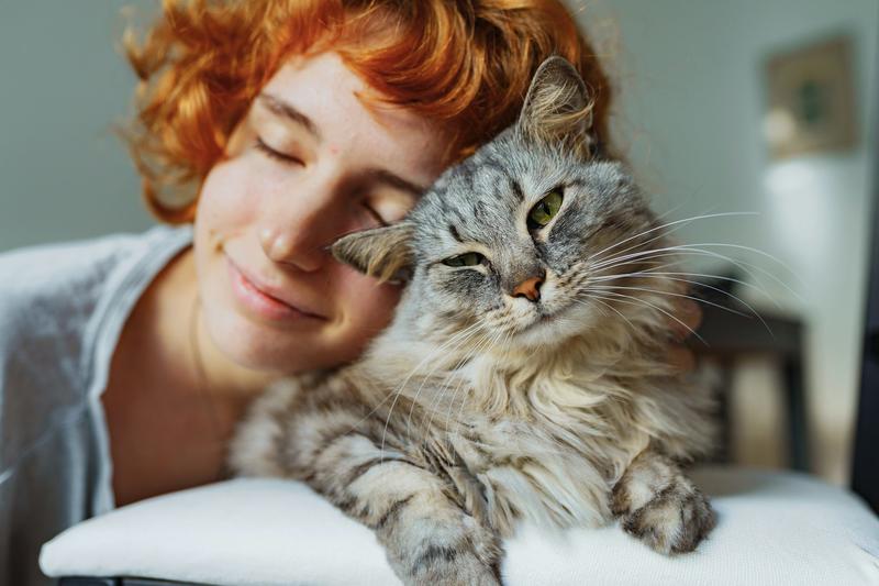Cats can get dementia too – here are the eight signs to look out for