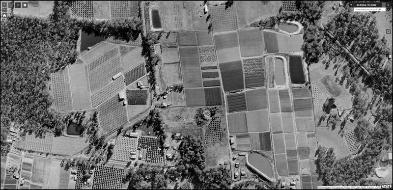 Sydney once produced its own food – but urban development has devoured the city’s food bowl
