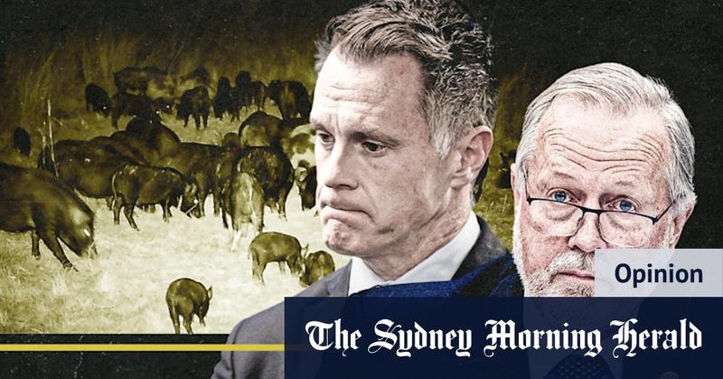 Gun debate may go feral in NSW if premier bows to shooters