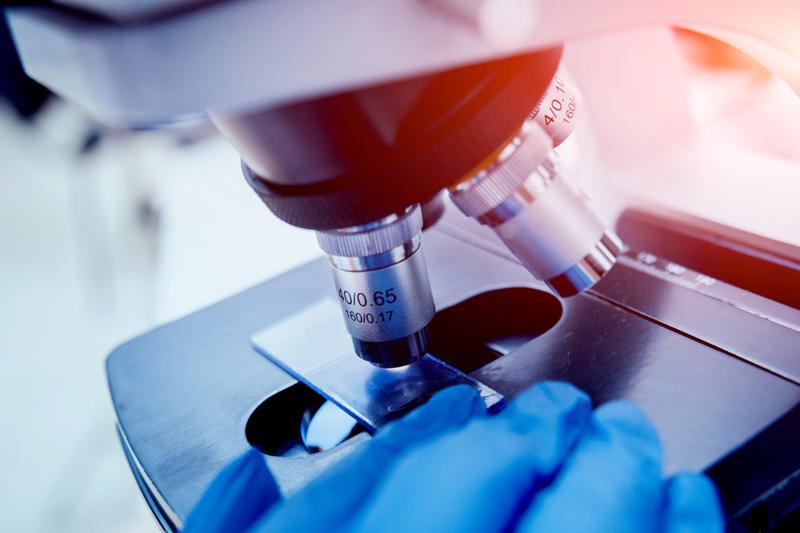 Notre bouclier contre une économie mondiale devenue arme