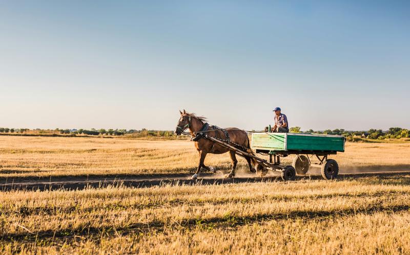 How to help trigger positive tipping points – and speed up climate action