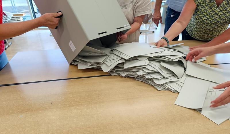 WZO closes election fraud case without penalties for suspected cheaters