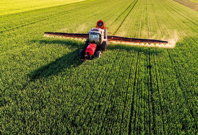 Au-del à de la loi Duplomb : débattre du droit à l'alimentation