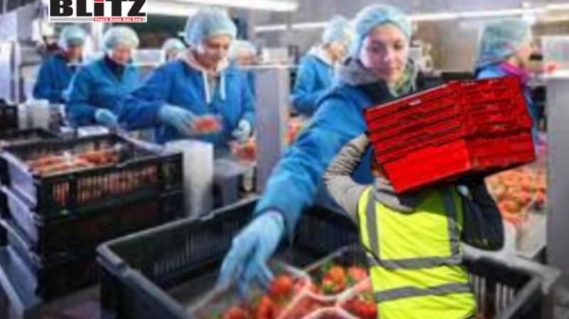 The hidden costs of Britain’s seasonal worker scheme: Extension without reform