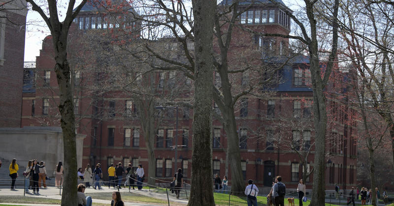Trump unlawfully canceled Harvard's research grants, US judge rules