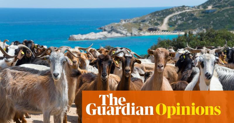 It’s the big fat Greek farming scandal – devised by the political elite and paid for by ordinary people
