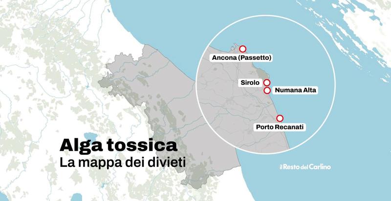 Alga tossica nell’ultimo weekend di mare nelle Marche, ecco dove è vietata la balneazione