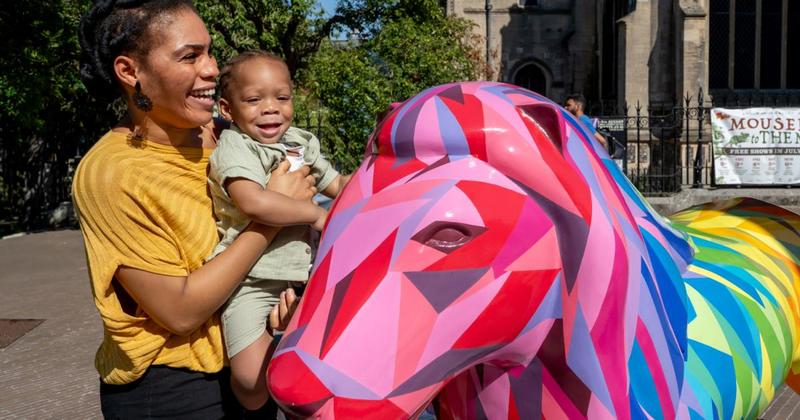 Missed out on the GoGoSafari trail? Here's your final chance to see them all!
