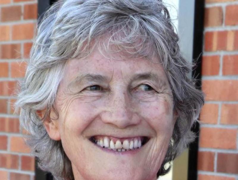 Cat Connolly clawed but President purrs after RTÉ radio puff piece