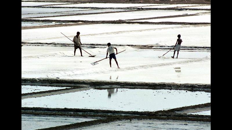 India’s iodine delivery policy is worth its salt