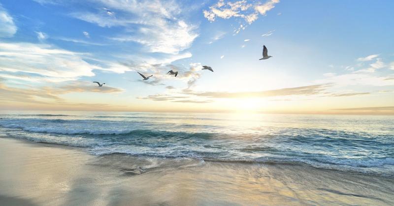 Is Resilience a Choice or a Trait?