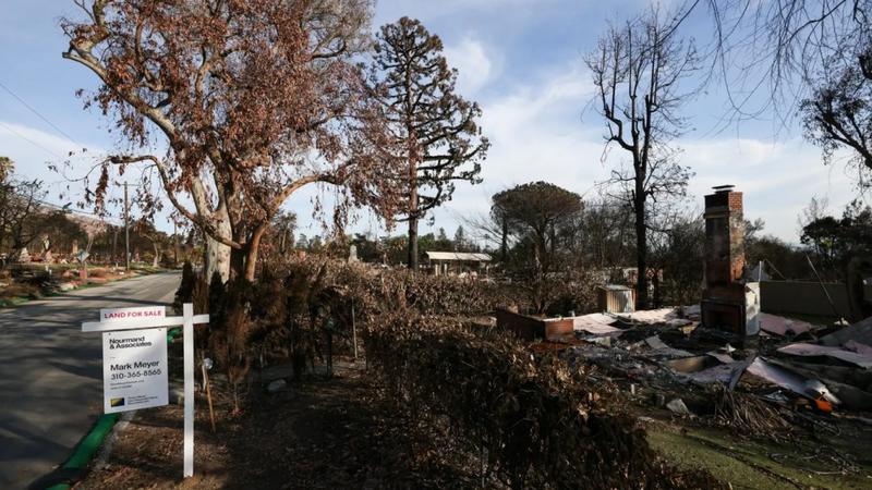 A Tornado Destroyed Their Home. Then the “Vultures” Showed Up.