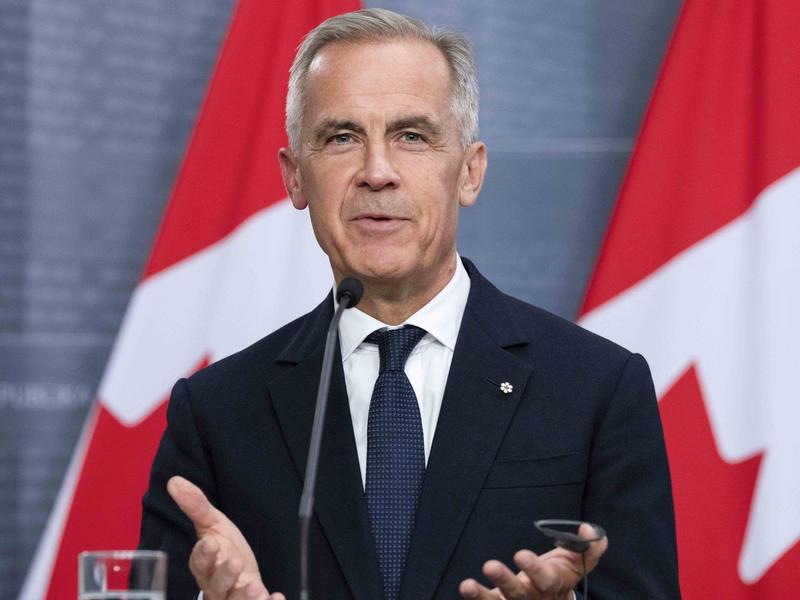 LILLEY: Carney offers some action, more promises as economy falters