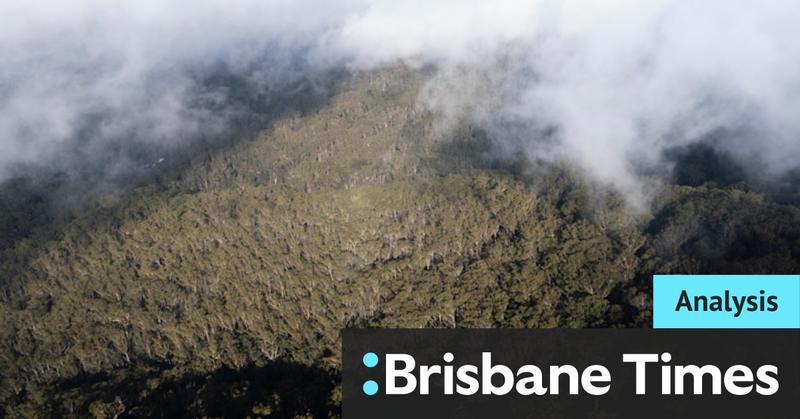 A promise kept: The risky creation of the Great Koala National Park