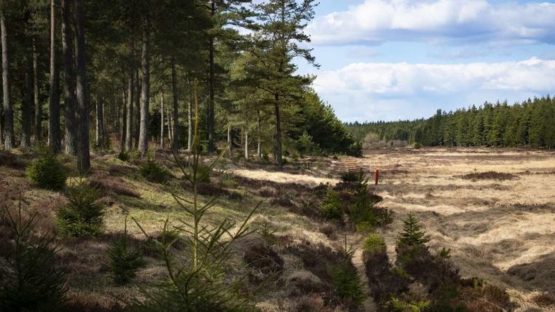 Debatkronik: Konsekvenser af naturnationalparker - det snakker vi ikke om