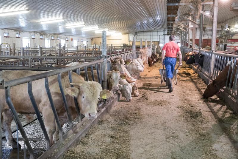 Vil du ha matsikkerhet i framtida, må du investere i meg i dag
