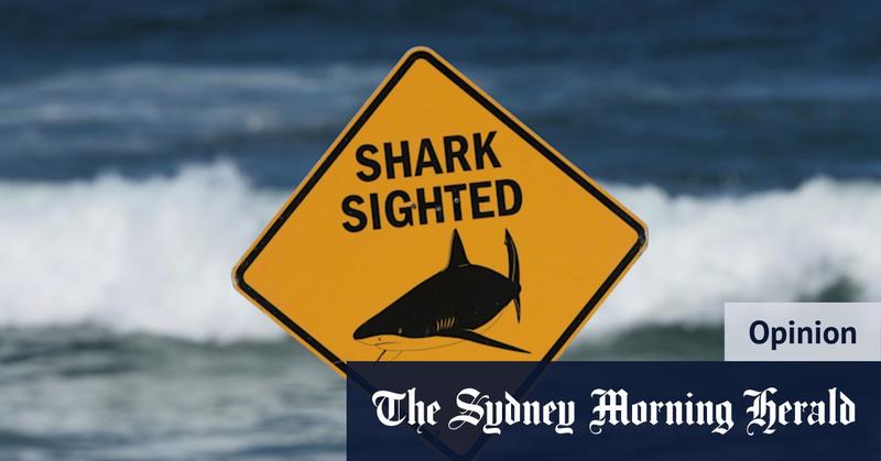 Shark nets don’t protect us. They never will