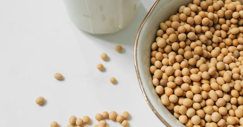 Why Soy Milk Was Banned