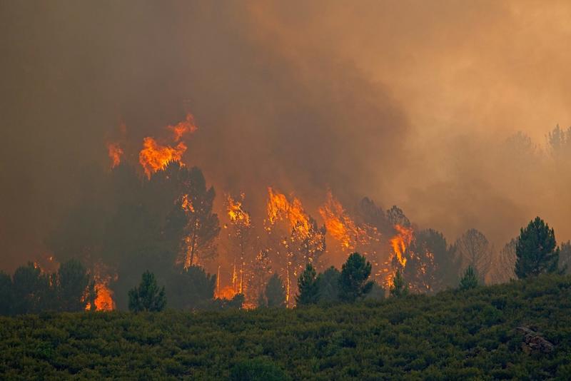 Podemos gestionar los incendios para que convivan con el paisaje mediterráneo