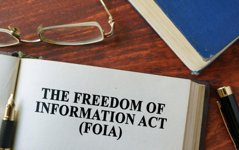Yes, freedom of information laws need updating, but not like the government is proposing