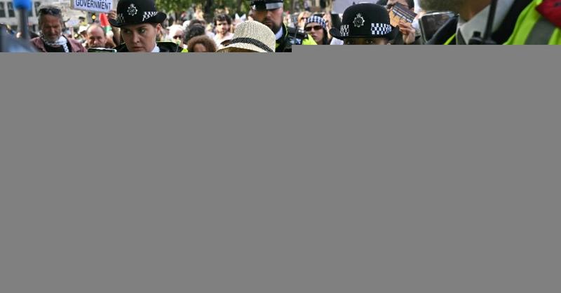 UK police arrest hundreds in latest Palestine Action demo