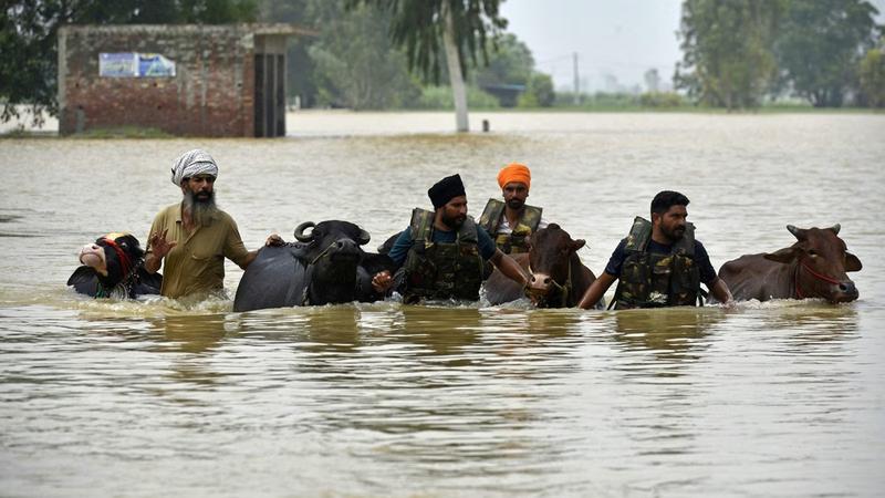 Monsoon fury