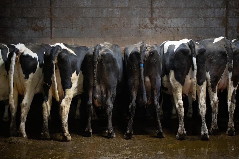 The last harvest? How tax changes are impacting British farming